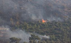 Bilecik'te arazi ve makilik alanda yangın