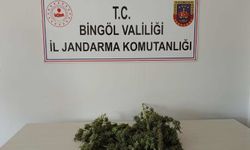 Bingöl’de uyuşturucu operasyonu