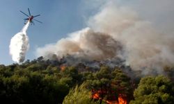 Muğla'da orman yangını: 600 hektar alan zarar gördü