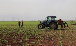 Tarımsal destek ödemeleri çiftçilerin hesabına aktarılacak 