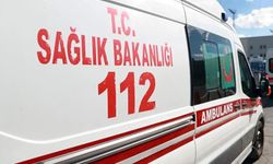 Yolcu otobüsü tomruk yüklü kamyonla çarpıştı: 2 ölü, 23 yaralı