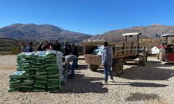 Adıyamanlı çiftçilere fiğ tohumu dağıtıldı