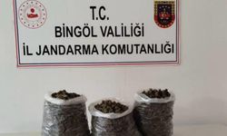 Bingöl’de 4 kilo 576 gram kubar esrar ele geçirildi