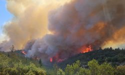 Çanakkale'de orman yangını