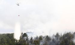 Muğla'da 3 bölgede orman yangını