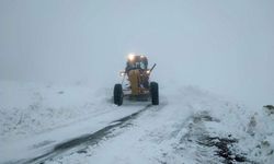 Rize'de 21 yol ulaşıma kapandı