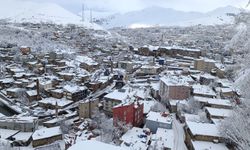 Akşam saatlerinden itibaren Bitlis kar yağışının etkisine girecek