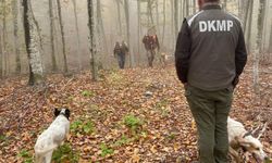 Bursa'da kaçak avcılara ceza yağdı