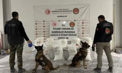 Gürbulak Sınır Kapısı'nda 4,5 ton uyuşturucu ele geçirildi