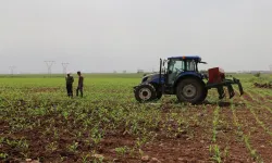 ​Kırsal kalkınma destekleri projelerin tamamlanma süresi uzatıldı