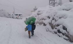 Ordu'da eğitime bir gün ara