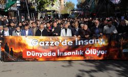 Peygamber Sevdalıları: Gazze siyonist şer ittifakının hile, sahtekarlık ve vahşiliğini ifşa etmiştir