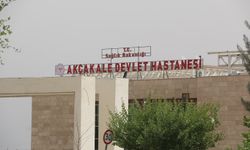 Şanlıurfa’da otomobilin çarptığı yaya hayatını kaybetti