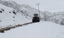 Şırnak'ta kar nedeniyle kapanan yollar açıldı