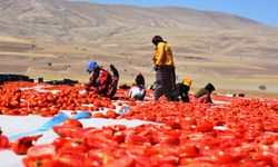 Tarımsal destek ödemeleri bugün hesaplara yatırılıyor