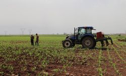 Tarımsal destekleme ödemeleri çiftçilerin hesaplarına aktarılıyor