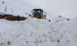 ​Van, Hakkari ve Muş'ta 218 yerleşim birimi ulaşıma kapandı