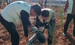 HÜDA PAR Şanlıurfa İl Gençlik Kolları’ndan fidan dikme programı