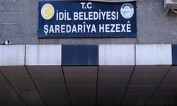 İdil Belediye Başkanı partisinden ihraç edildi