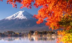 Japonya 126 yılın en sıcak sonbaharını yaşadı  