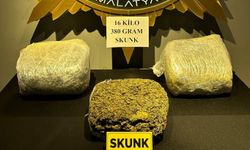 Malatya'da 16 kilogram 380 gram skunk ele geçirildi: 3 tutuklama