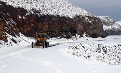 Muş-Kulp-Diyarbakır kara yolu ulaşıma kapandı