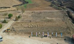 Bursa'da 3 milyon fidan toprakla buluşacak