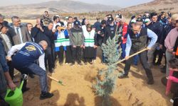 Malatya'da yüzbinlerce fidan toprakla buluştu