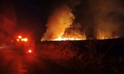 Yeni Zelanda'da UNESCO listesinde yer alan parkta yangın: 1800 hektarlık alan kül oldu