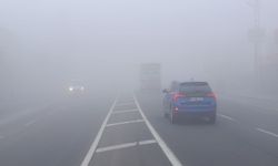 Ağrı'da yoğun sis görüş mesafesini düşürdü