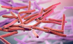 Avrupa cüzzam vakaları nedeniyle alarmda