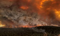 Avustralya'da 50'den fazla orman yangını çıktı
