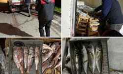 Bursa balık halinde denetim: 141 kg balığa el konuldu