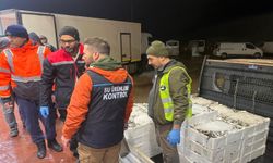 Bursa'da su ürünlerine denetim: 615 kilo istavrite el konuldu 