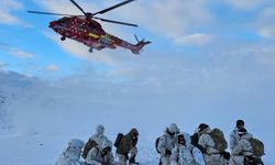 Danimarka ordusu Grönland'da tatbikat düzenledi