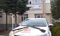 Erzincan’da yaban keçisi avlayanlara 975 bin lirayı aşkın ceza