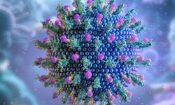 Gıda zehirlenmesi m viral enfeksiyon mu?