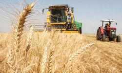 ​​​​​​​Güneydoğu'da hububat sektörü ihracatı 3,2 milyar dolar olarak gerçekleşti