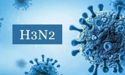 H3N2 Türkiye'de yayılıyor: Uzmanlardan aşı, maske ve vitamin uyarısı
