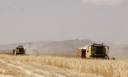 IPARD-III kapsamında 156 yerel eylem grubuna 2,2 milyar lira hibe desteği