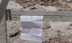 İşgalciler Beytullahim'de yüzlerce zeytin ağacını sökmek için tebligat yayımladı