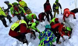 İspanya'da çığ felaketi: 3 ölü, 3 kişi kurtarıldı