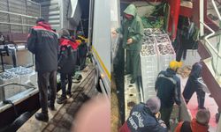 İzmir’de su ürünlerine yönelik denetimlerde 516 kilogram balığa el konuldu