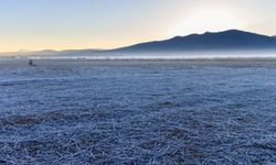 Konya AKOM’dan çiftçilere zirai don uyarısı