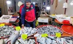 Konya’da su ürünleri denetimleri sürüyor