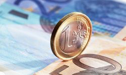 Merkez Bankası'nın faiz kararı sonrası euro ilk kez 50 lirayı aştı