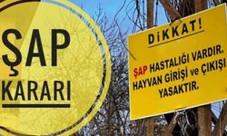 Sakarya'da şap karantinası