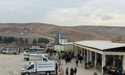 Siirt hayvan pazarı kapsamlı kontrollerin ardından yeniden açıldı