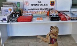 Şırnak'ta kaçakçılık, asayiş ve narkotik operasyonları: 159 gözaltı