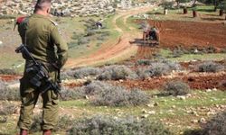 Siyonist rejimden yeni gasp: Tubas'ta onlarca dönüm araziye el konuluyor